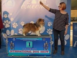 Международная выставка собак ранга CACIB 